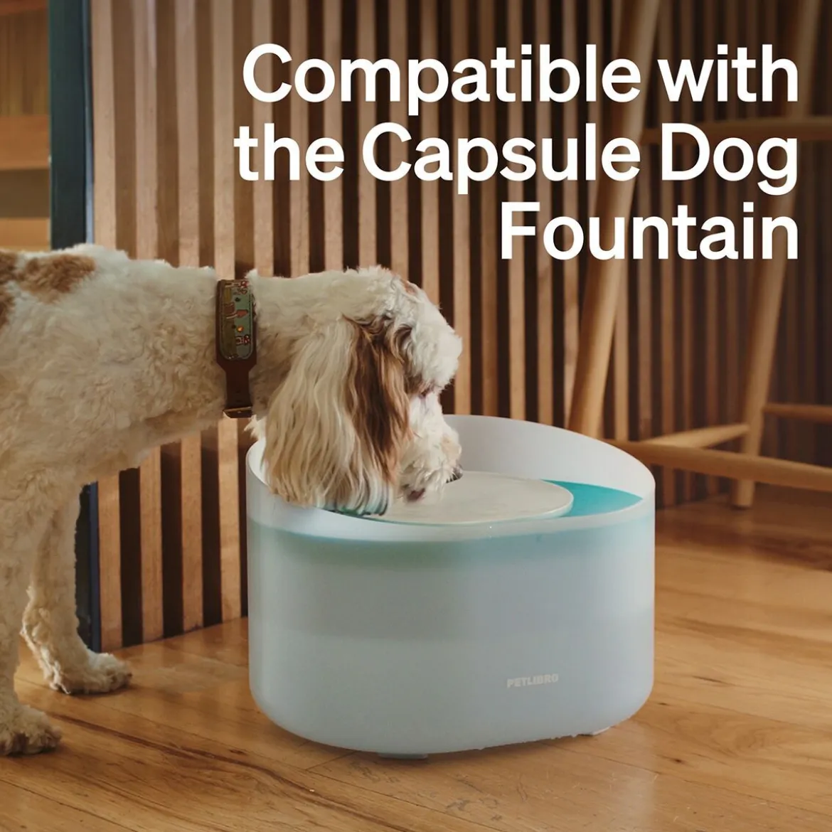 Petlibro Vattenfilter till Capsule Vattenfontän till Hund 4-pack
