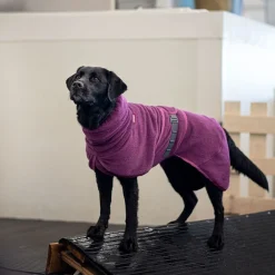 Pomppa Bath Badrock till Hund Plum