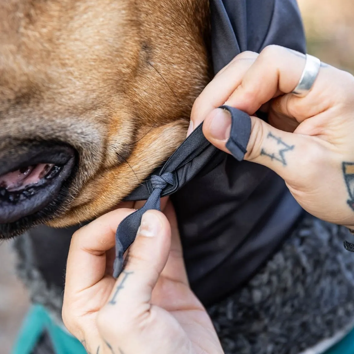 Pomppa Huppu Halsduk till Hund Graphite