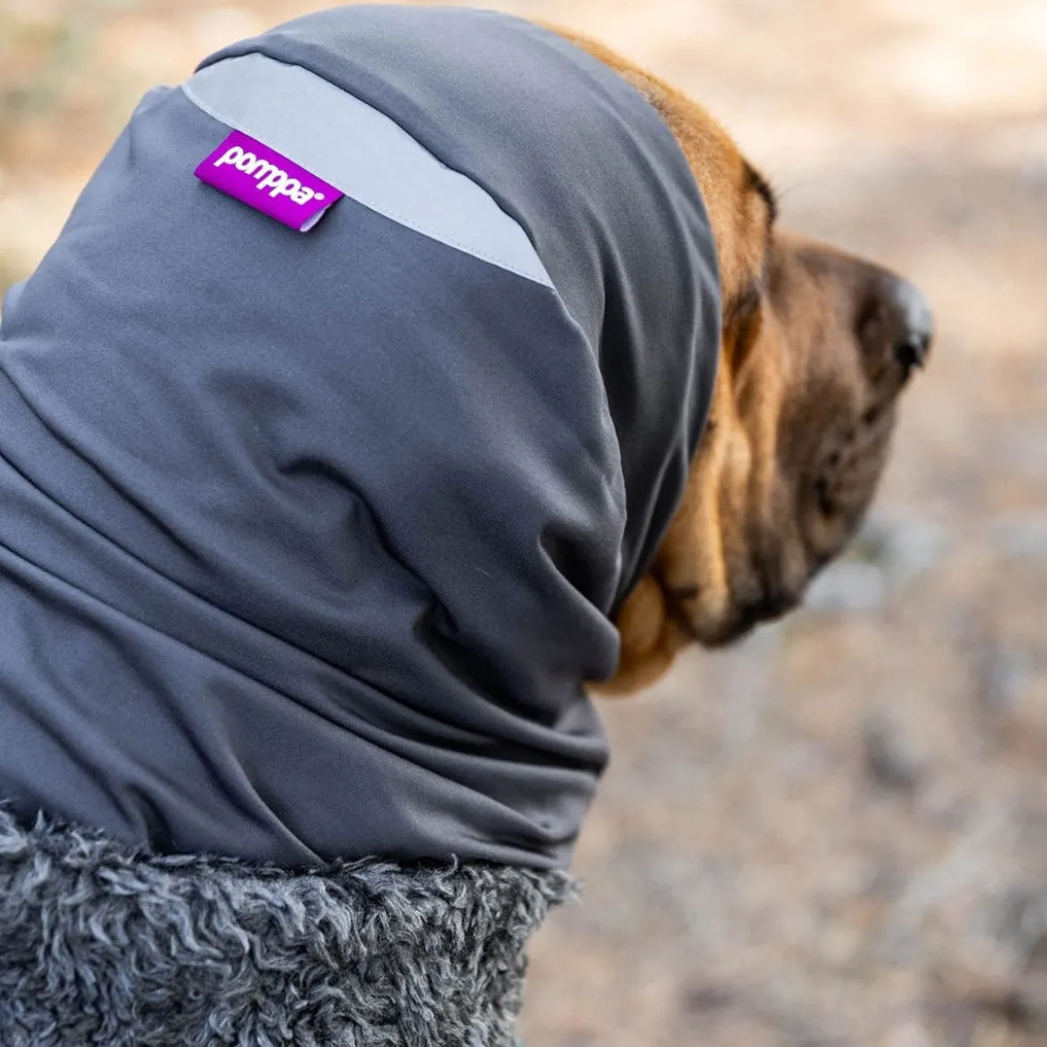 Pomppa Huppu Halsduk till Hund Graphite