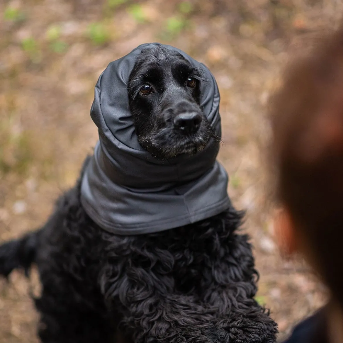 Pomppa Huppu Halsduk till Hund Graphite