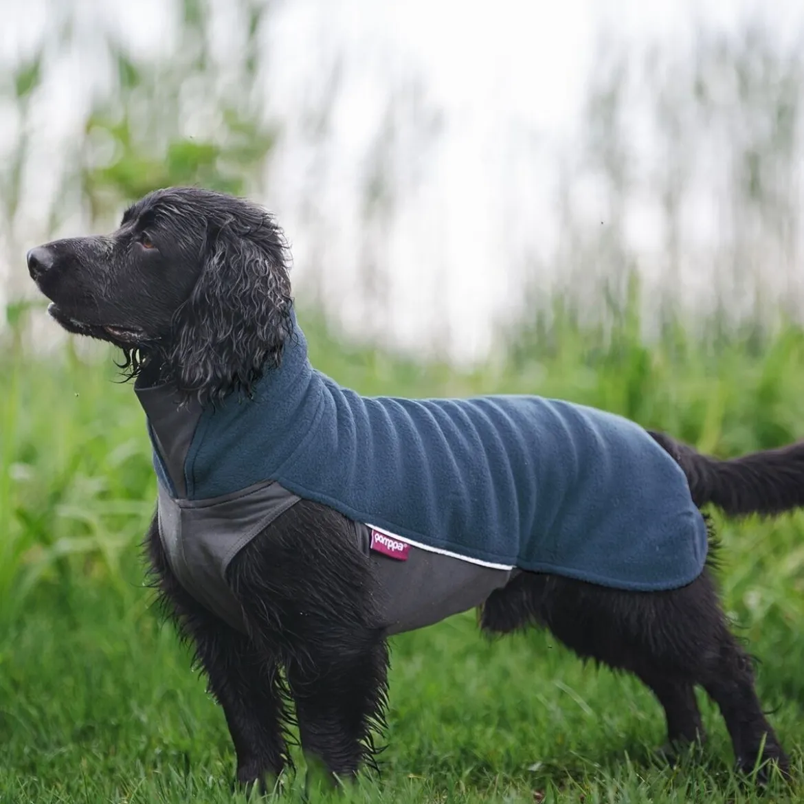 Pomppa Jumppa Fleecetäcke Hund Midnight