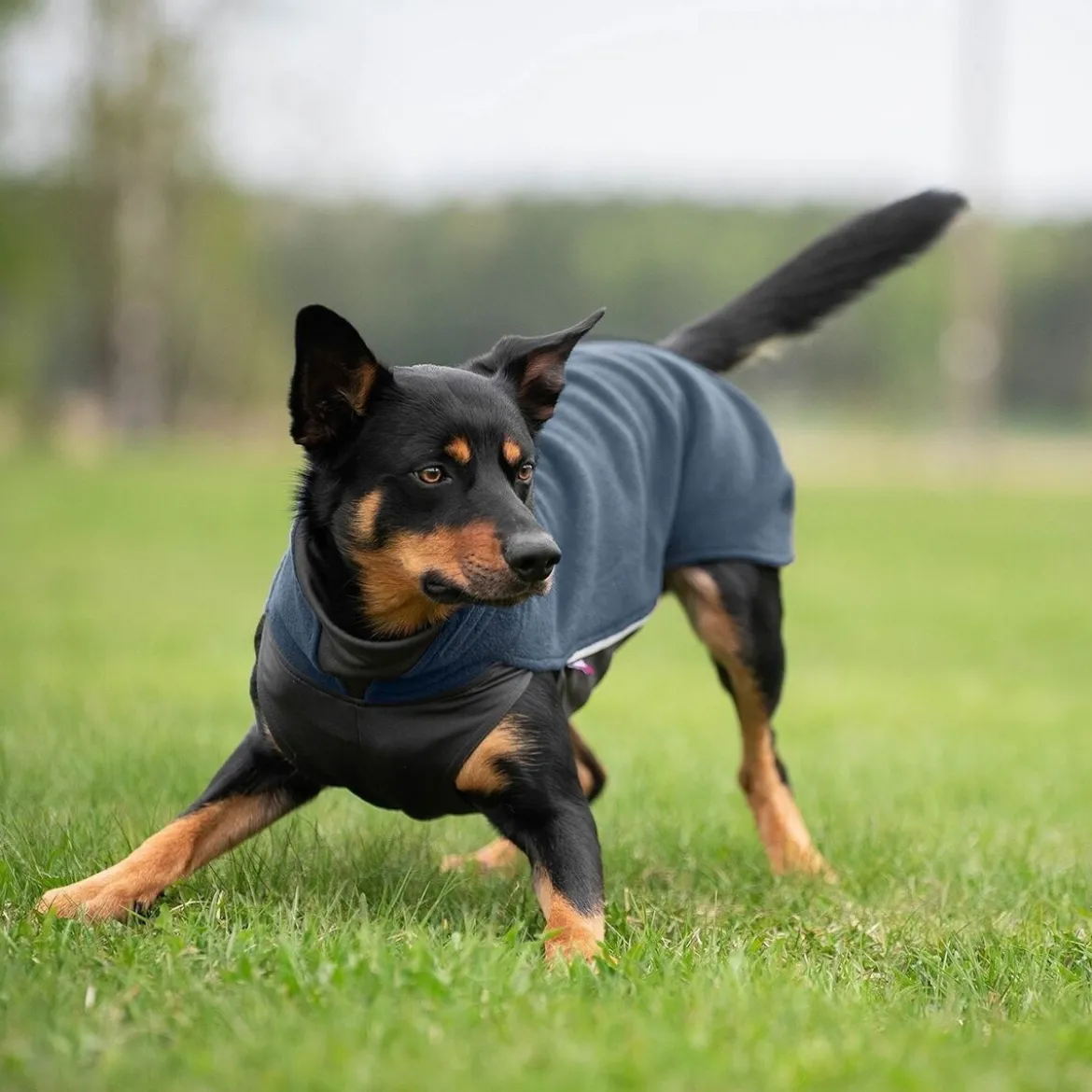 Pomppa Jumppa Fleecetäcke Hund Midnight