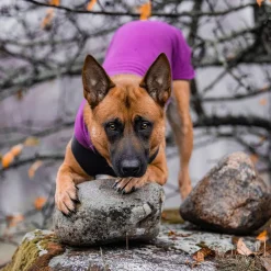 Pomppa Jumppa Fleecetäcke Hund Plum