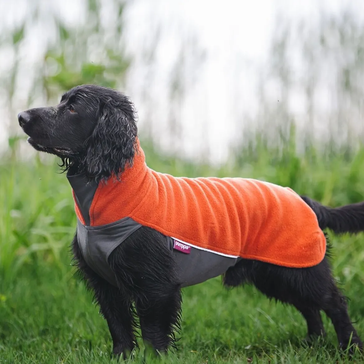 Pomppa Jumppa Fleecetäcke Hund Habanero