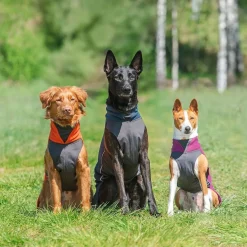 Pomppa Jumppa Fleecetäcke Hund Habanero