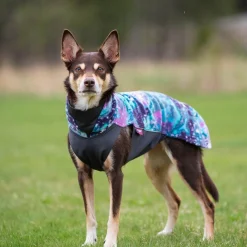 Pomppa Jumppa Fleecetäcke Hund Aurora