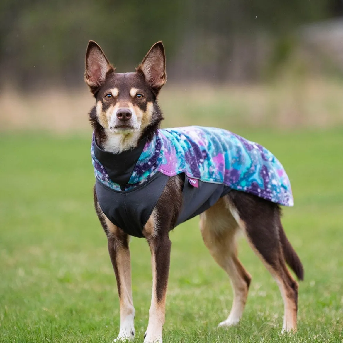 Pomppa Jumppa Fleecetäcke Hund Aurora