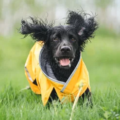 Pomppa Kevyt Regntäcke Hund Curry