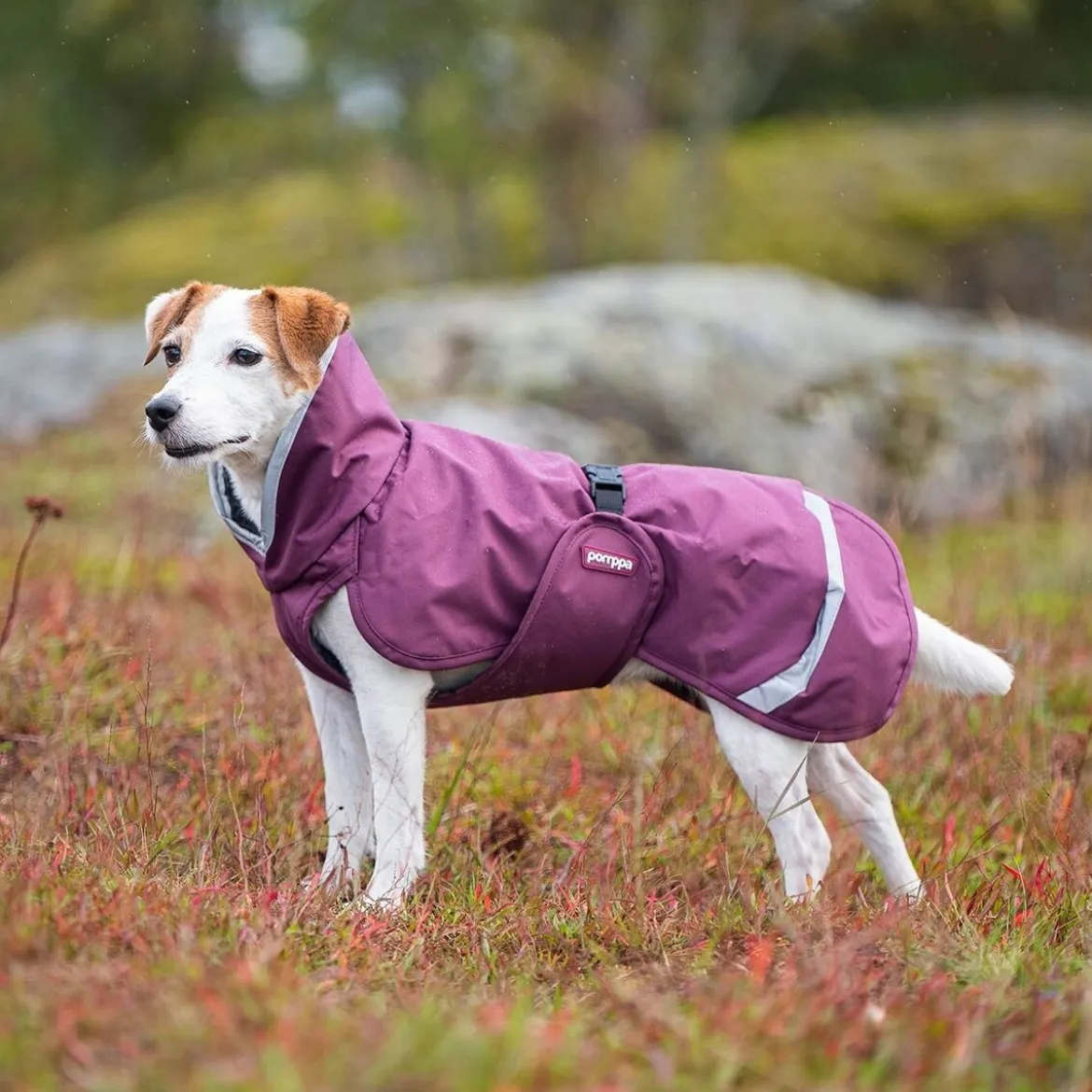 Pomppa Perus Vintertäcke för Sele Plum