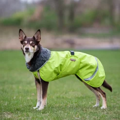 Pomppa Perus Vintertäcke Hund Lime