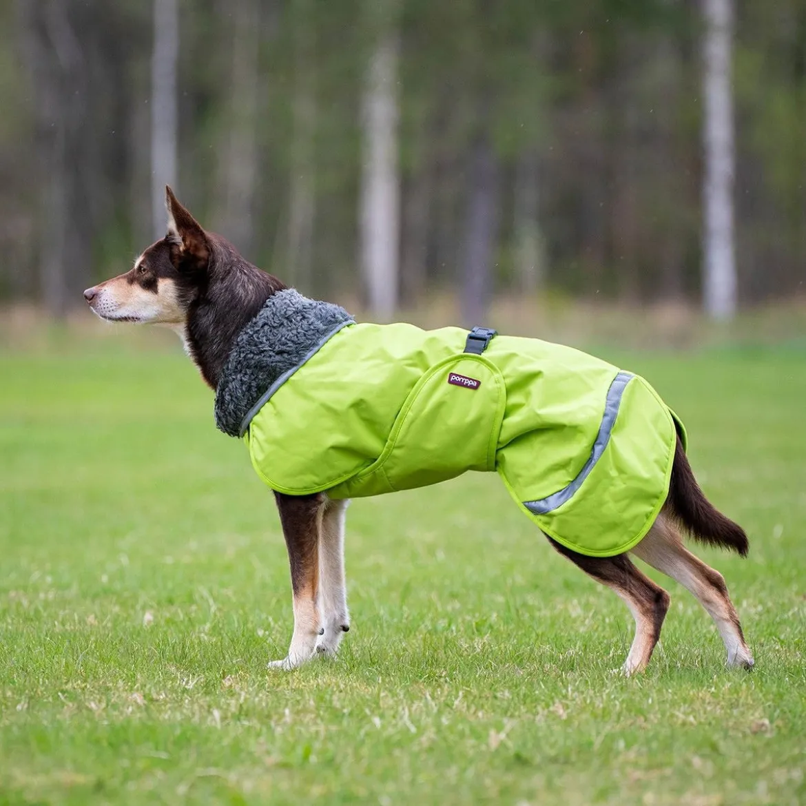Pomppa Perus Vintertäcke Hund Lime