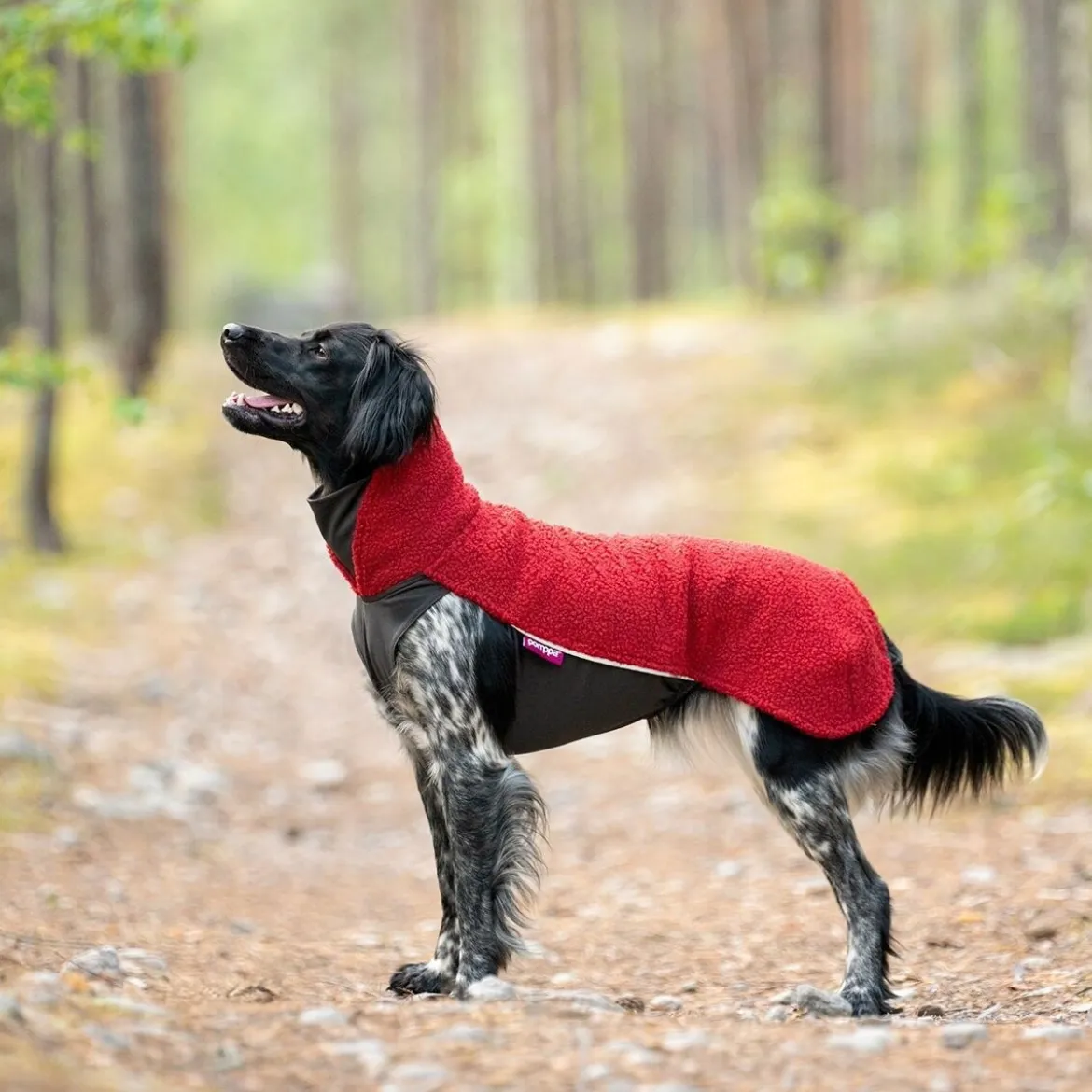 Pomppa Polar Fleecetäcke Hund Rowanberry