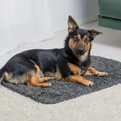 Pomppa Settle Mat Hundfäll för Träning Grå