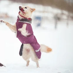 Pomppa Toppa Vintertäcke Hund Plum