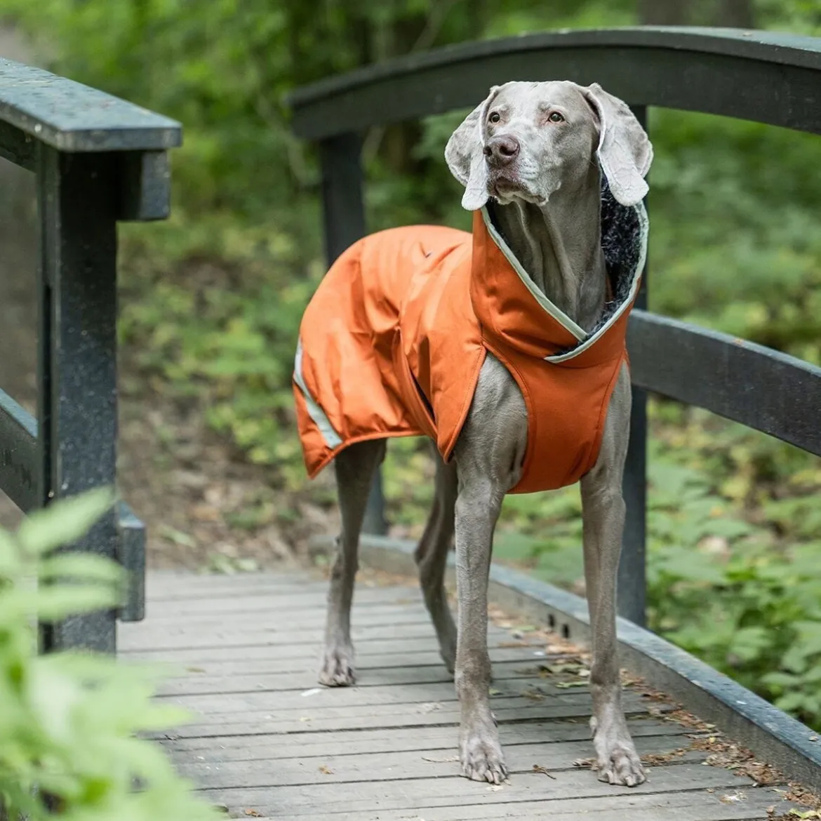 Pomppa Toppa Vintertäcke Hund Rust