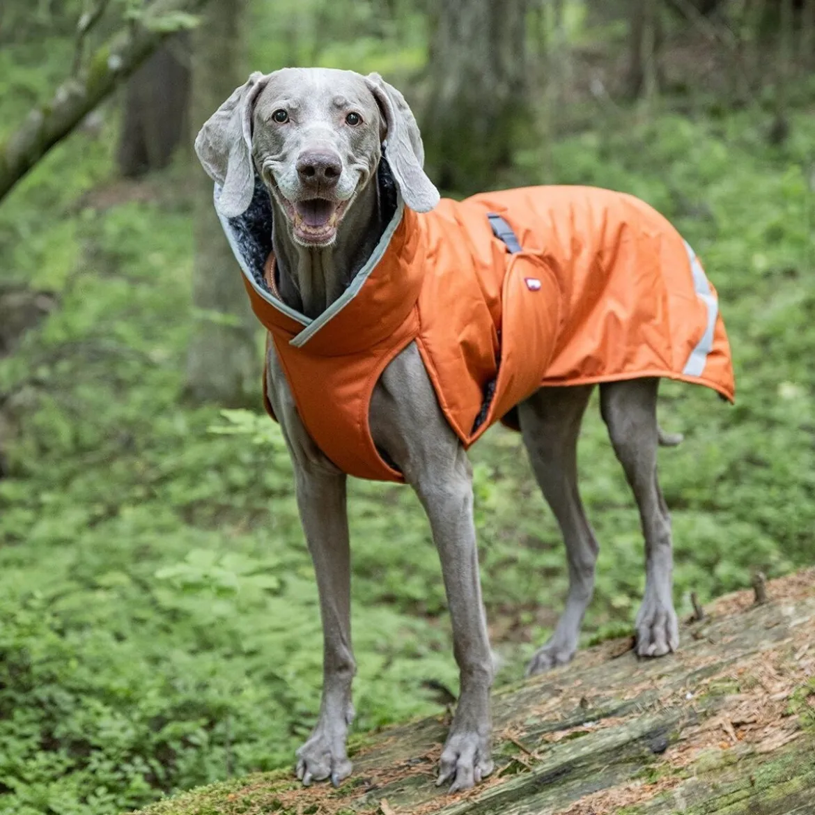 Pomppa Toppa Vintertäcke Hund Rust