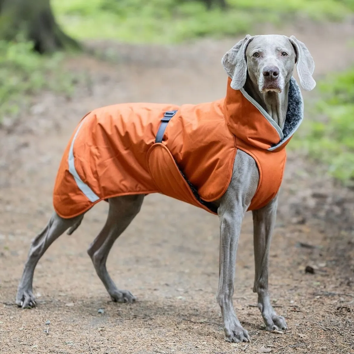 Pomppa Toppa Vintertäcke Hund Rust
