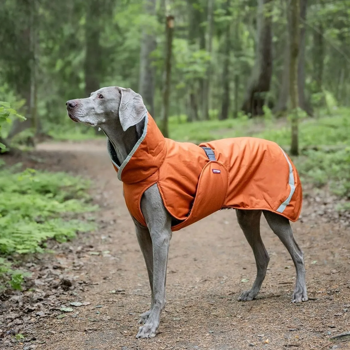 Pomppa Toppa Vintertäcke Hund Rust