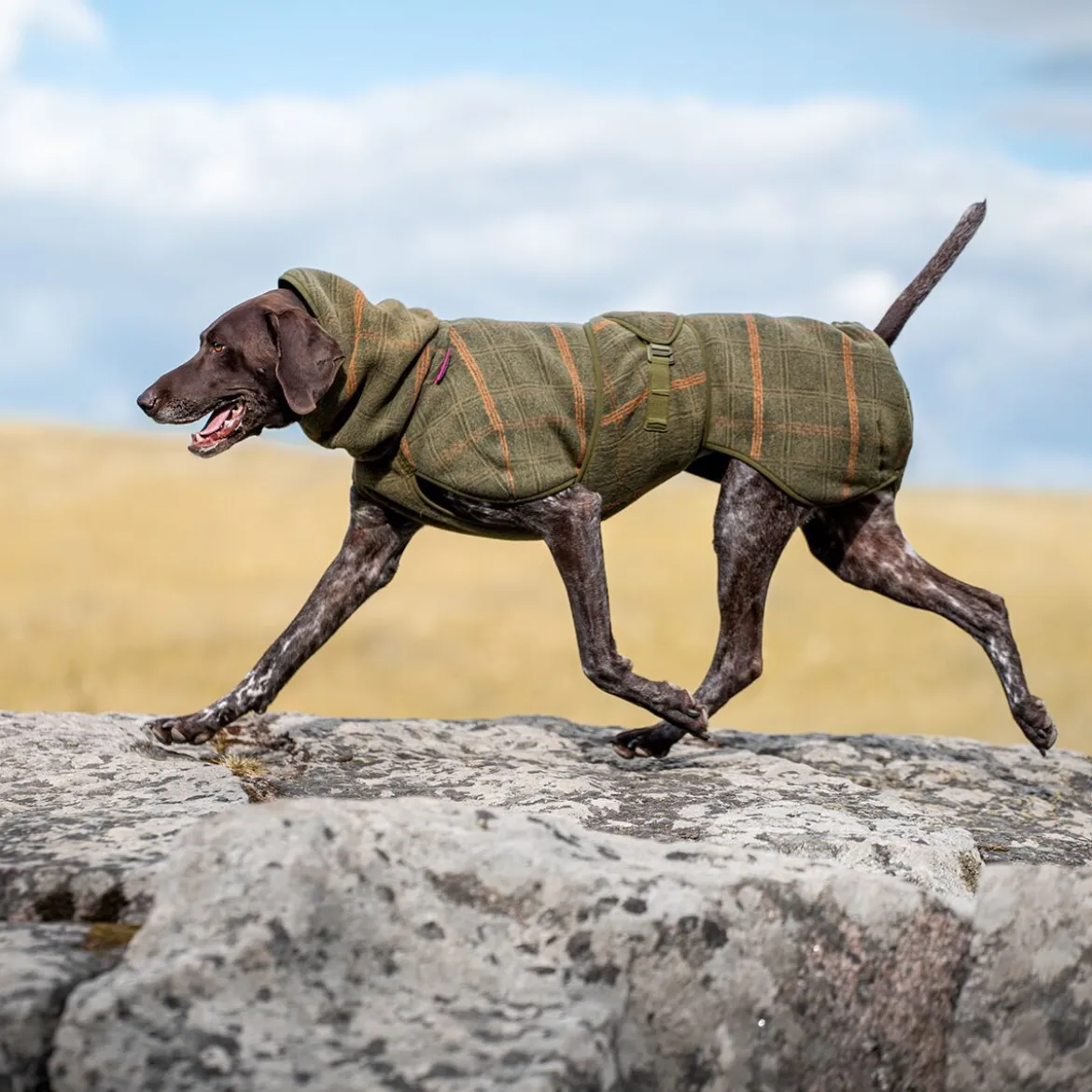 Pomppa Woolie Hundtäcke Olive