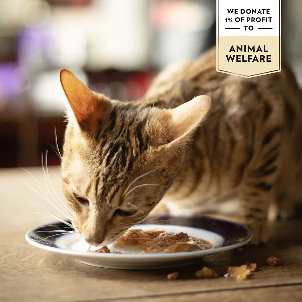 PrimaCat Classic Valuepack in Gravy 48x85 g