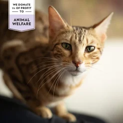 PrimaCat Crunchy Grain Free Poultry & Beef for Skin & Coat 40 g