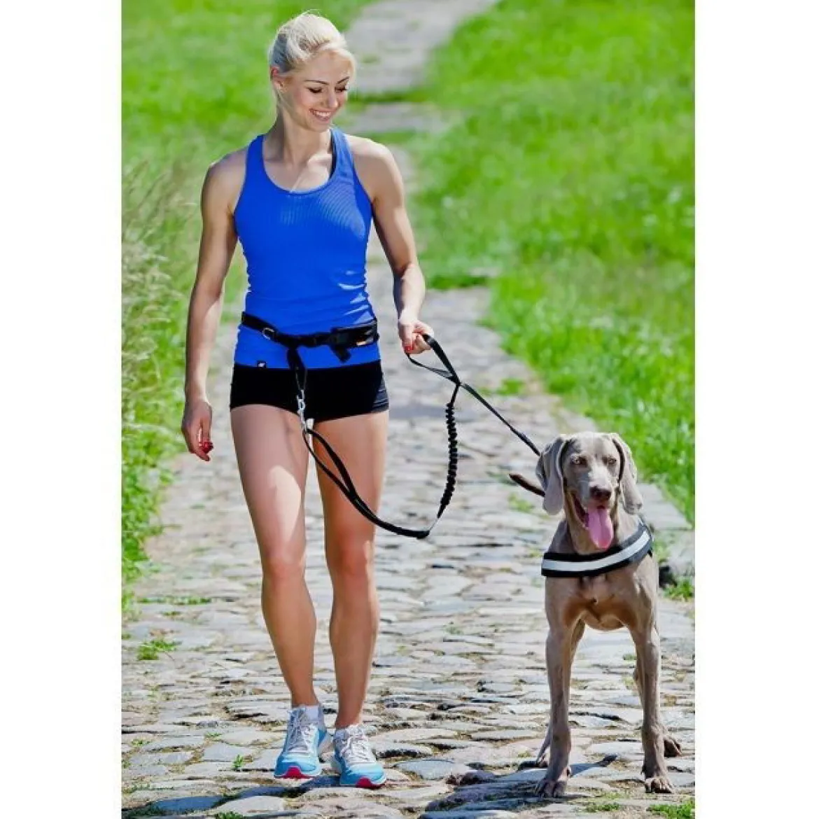 Pro Dog Joggingbälte med lina