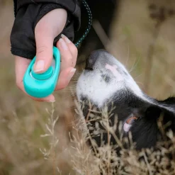 Pro Dog Klicker Mintgrön