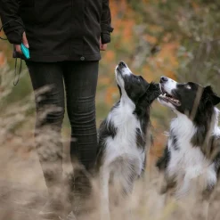 Pro Dog Visselpipa Mintgrön