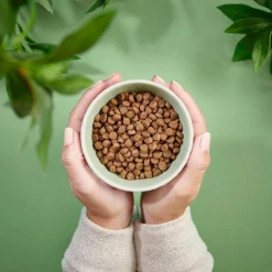 Purenatural Kitten Grain Free Turkey & Chicken Spannmålsfritt Torrfoder till Kattunge