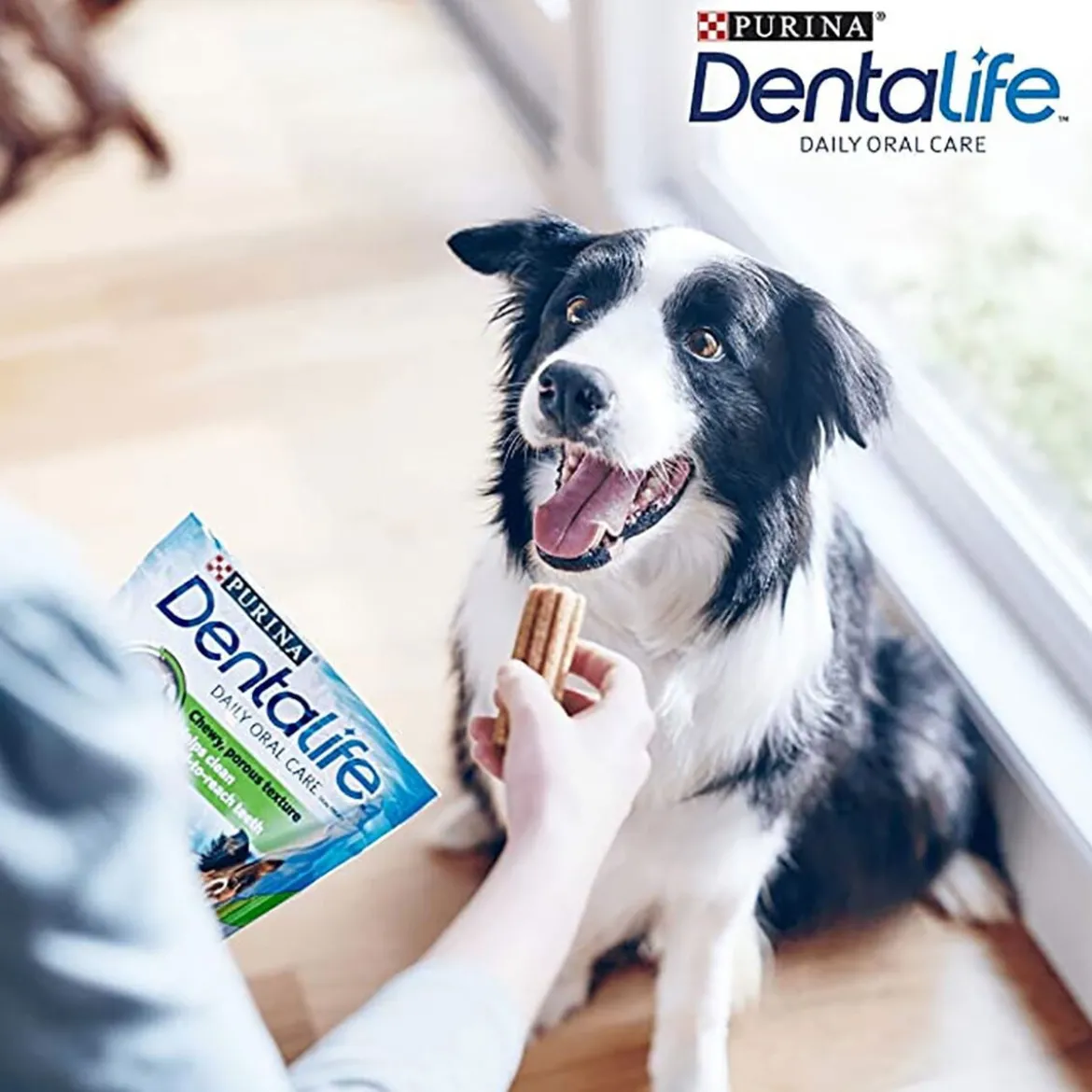 Purina Dentalife Medium 24-pack