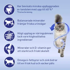 Purina ONE Cat Adult Lax