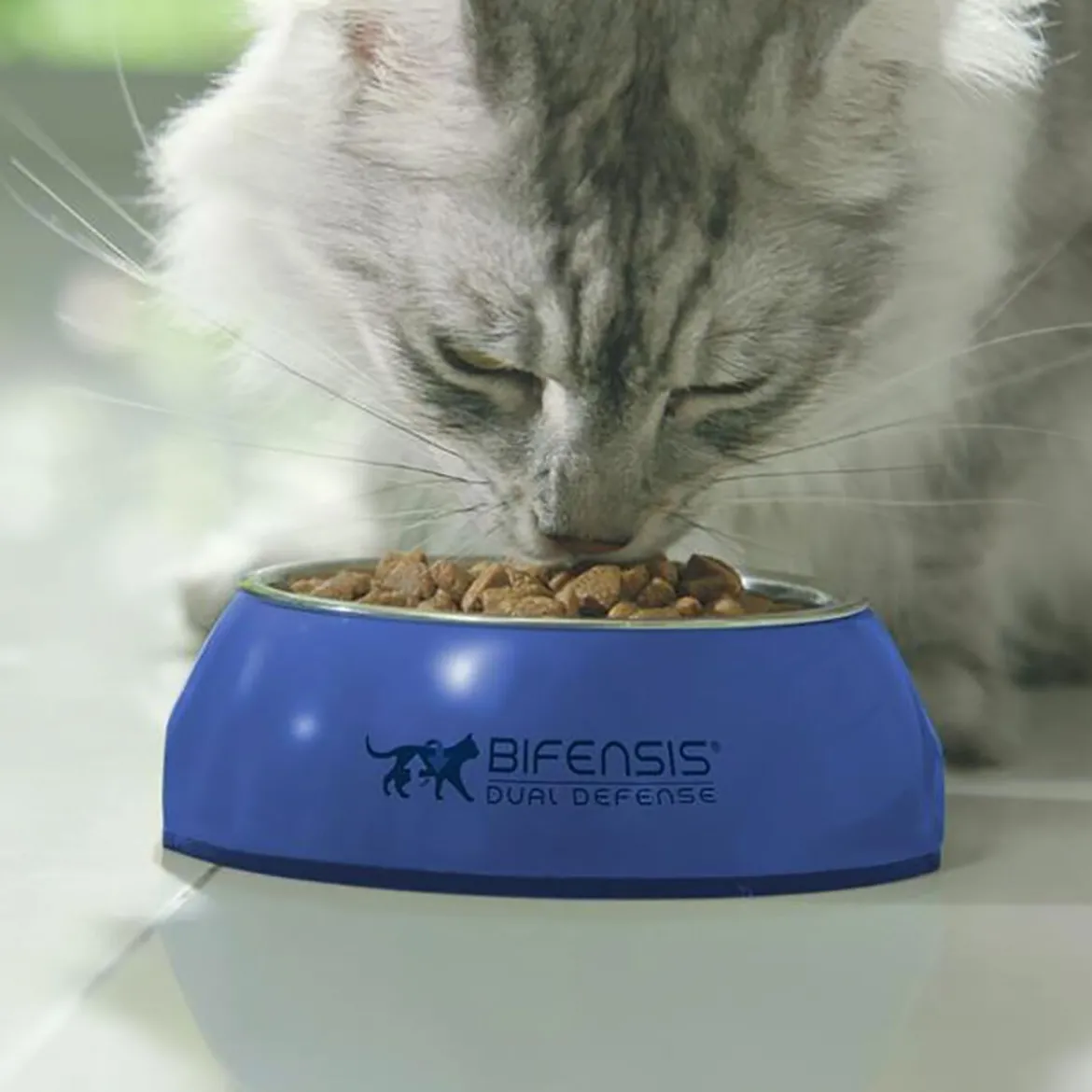 Purina ONE Cat Adult Lax