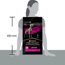 Purina Pro Plan Veterinary Diets Dog UR Urinary