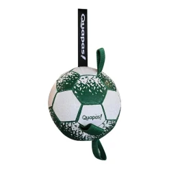 Quapas! Fotboll med Handtag