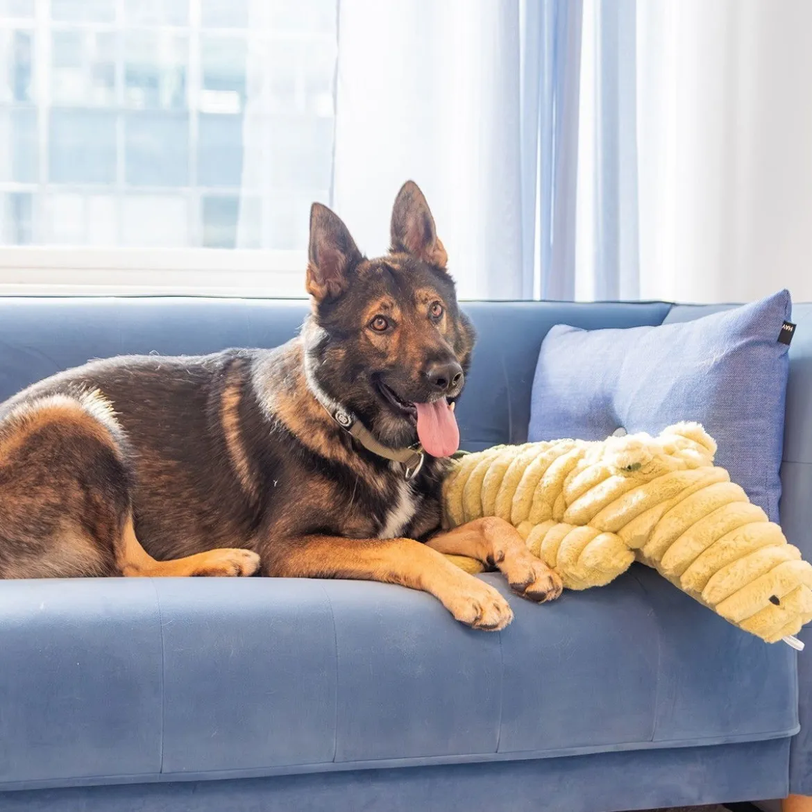 Quapas! Mjukisdjur till Hund Alligator