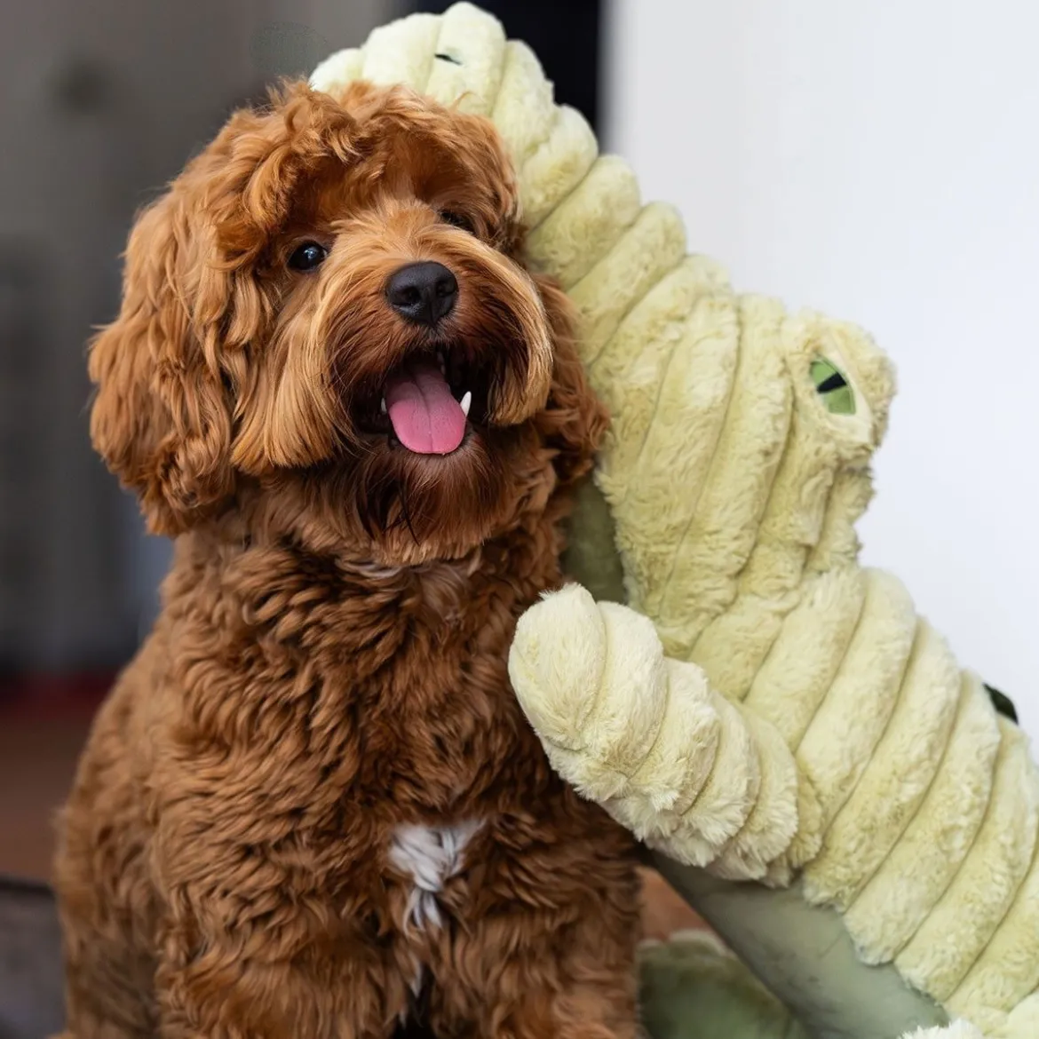 Quapas! Mjukisdjur till Hund Alligator