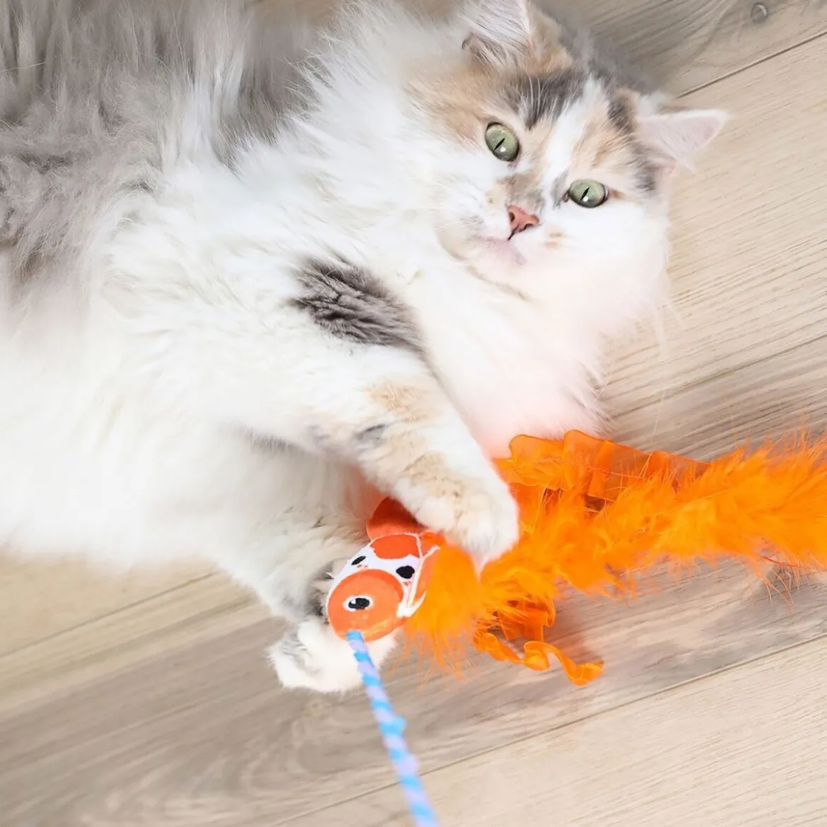 Quirky Kitty Kattspö med Fisk & Fjädrar