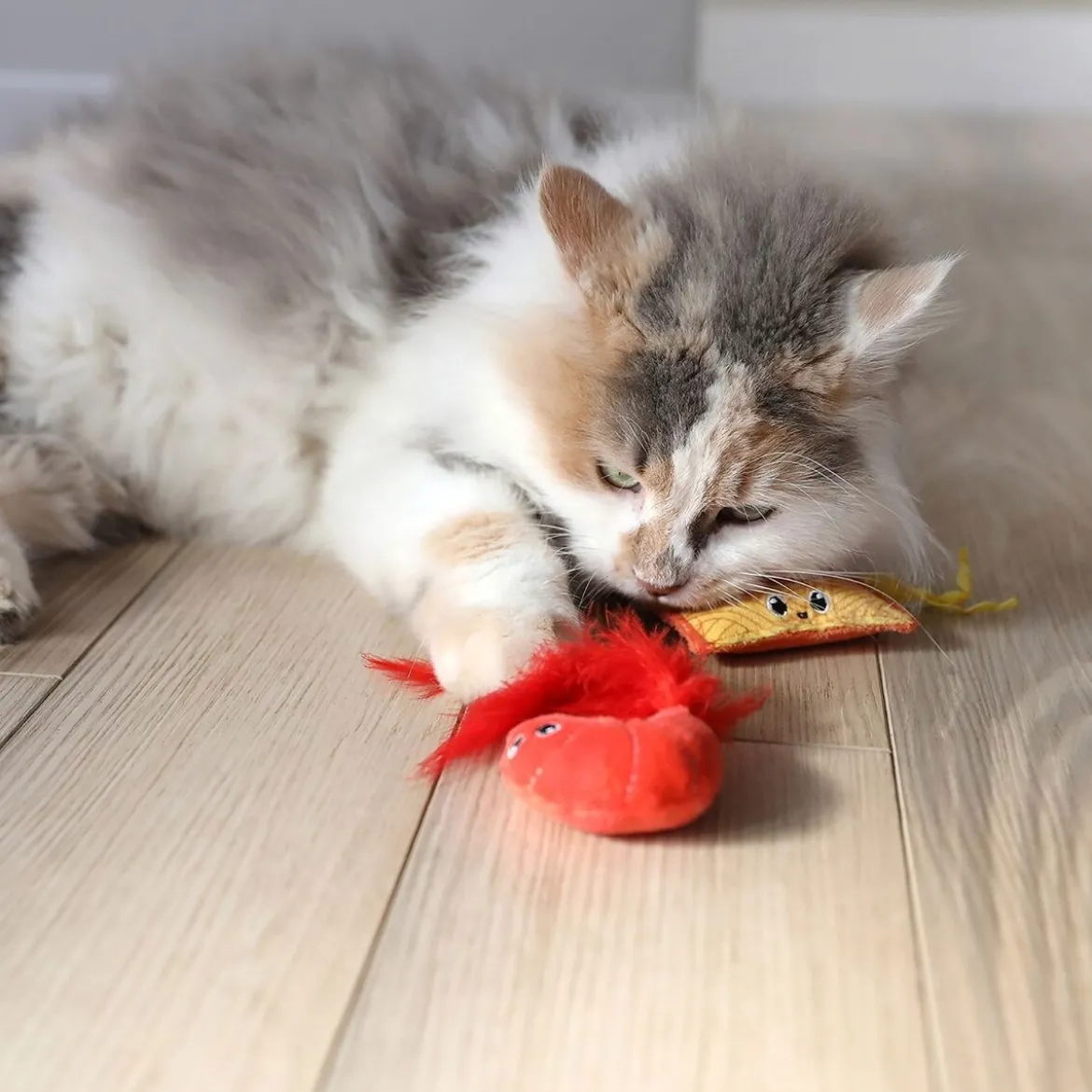 Quirky Kitty Ramen 2-pack