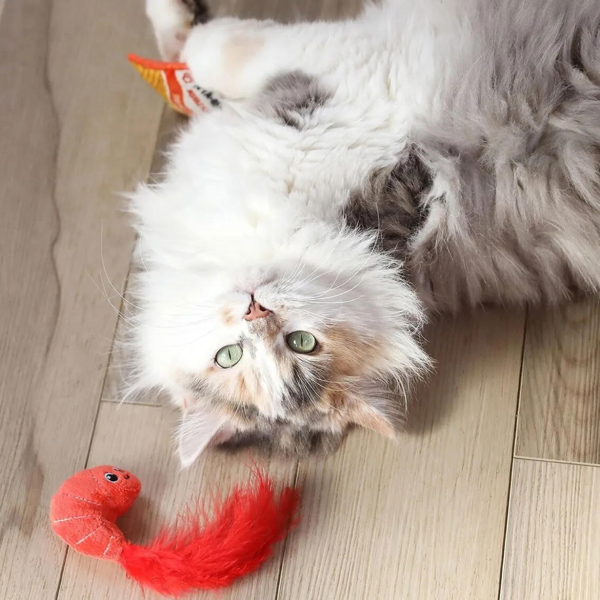 Quirky Kitty Ramen & Räka 2-pack