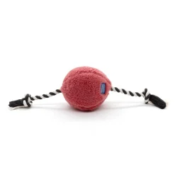 Resploot Juggles Hundboll med Rep Röd