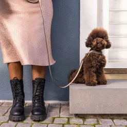 Rogz Urban Fast-Fit Hundsele Guld