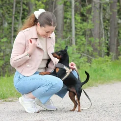 Rogz Urban Fast-Fit Hundsele Guld