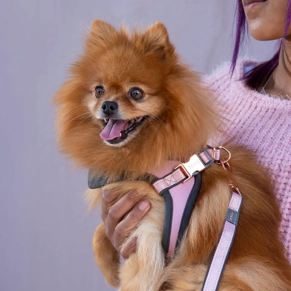 Rogz Urban Fast-Fit Hundsele Rosa