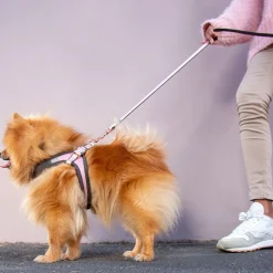 Rogz Urban Fast-Fit Hundsele Rosa