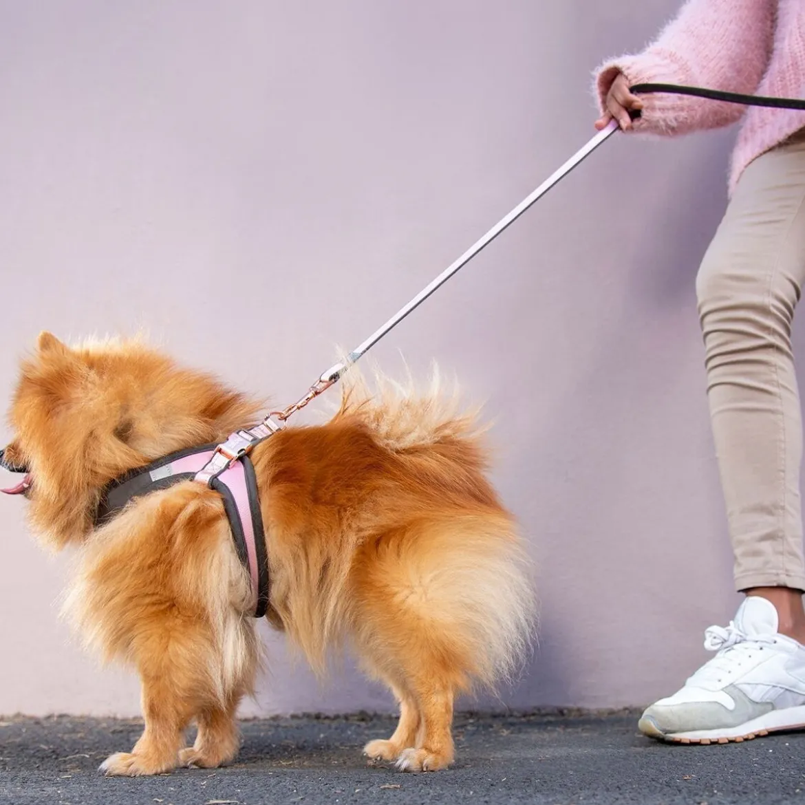 Rogz Urban Fast-Fit Hundsele Rosa