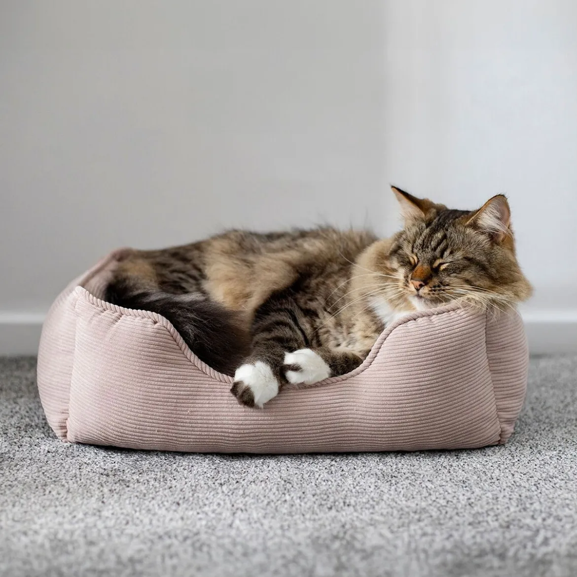 Rosewood Hundbädd/Kattbädd Beige