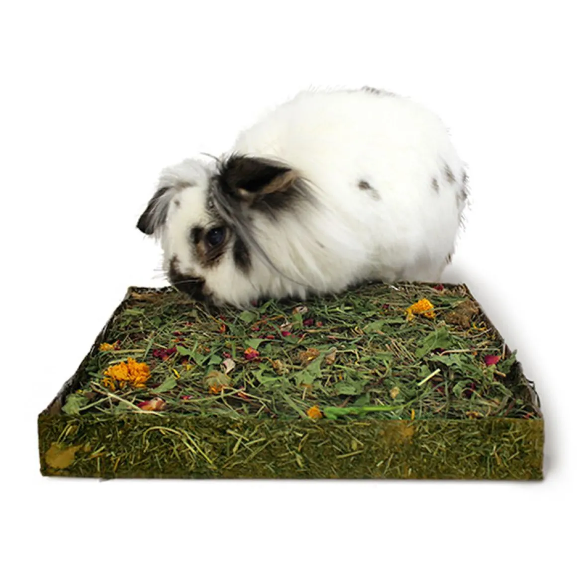 Rosewood Nibble’n’Dig Meadow