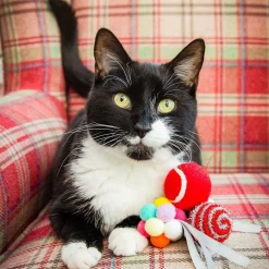 Rosewood Presentask med Kattbollar