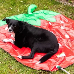 Rosewood Sprinklermatta för Hund Jordgubb